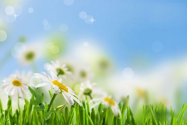 春の肌荒れに注意！ 花粉症と皮膚炎の関係&対処法