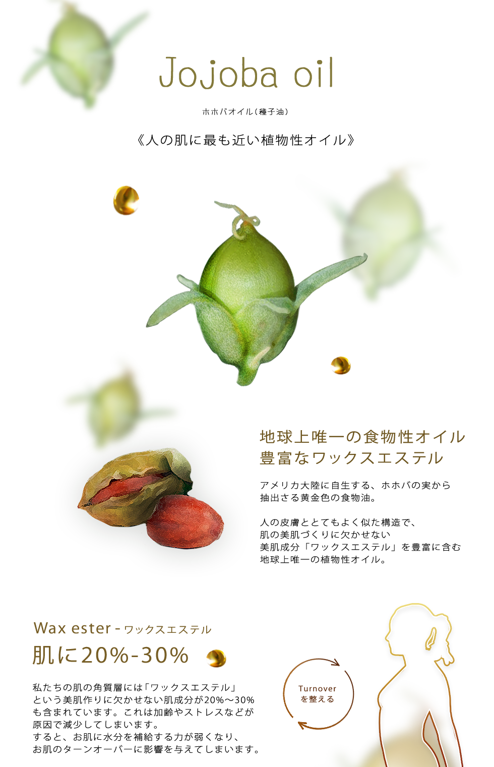 Auter Original Cream[オーターオリジナルクリーム]│水素化Mg配合 無添加基礎化粧品・浴用化粧料